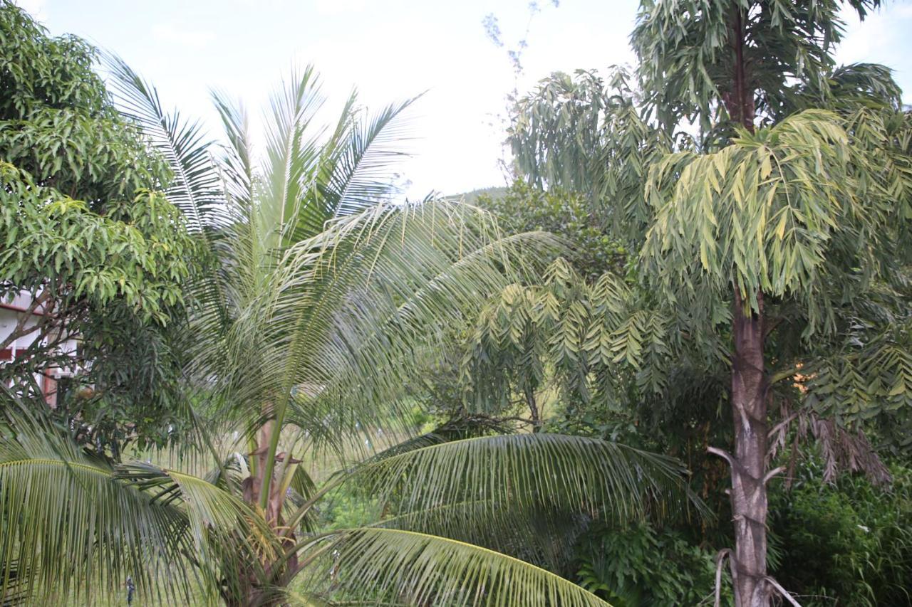 Super Spot Guest House Ella Esterno foto